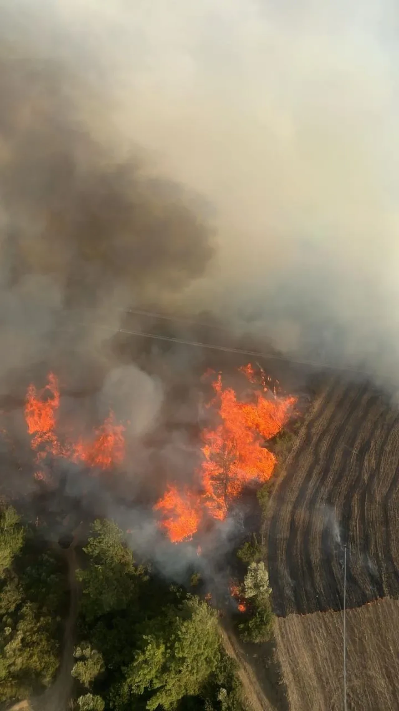 Adana’da İmamoğlu ilçesinde orman yangınına helikopter ve uçakla müdahale