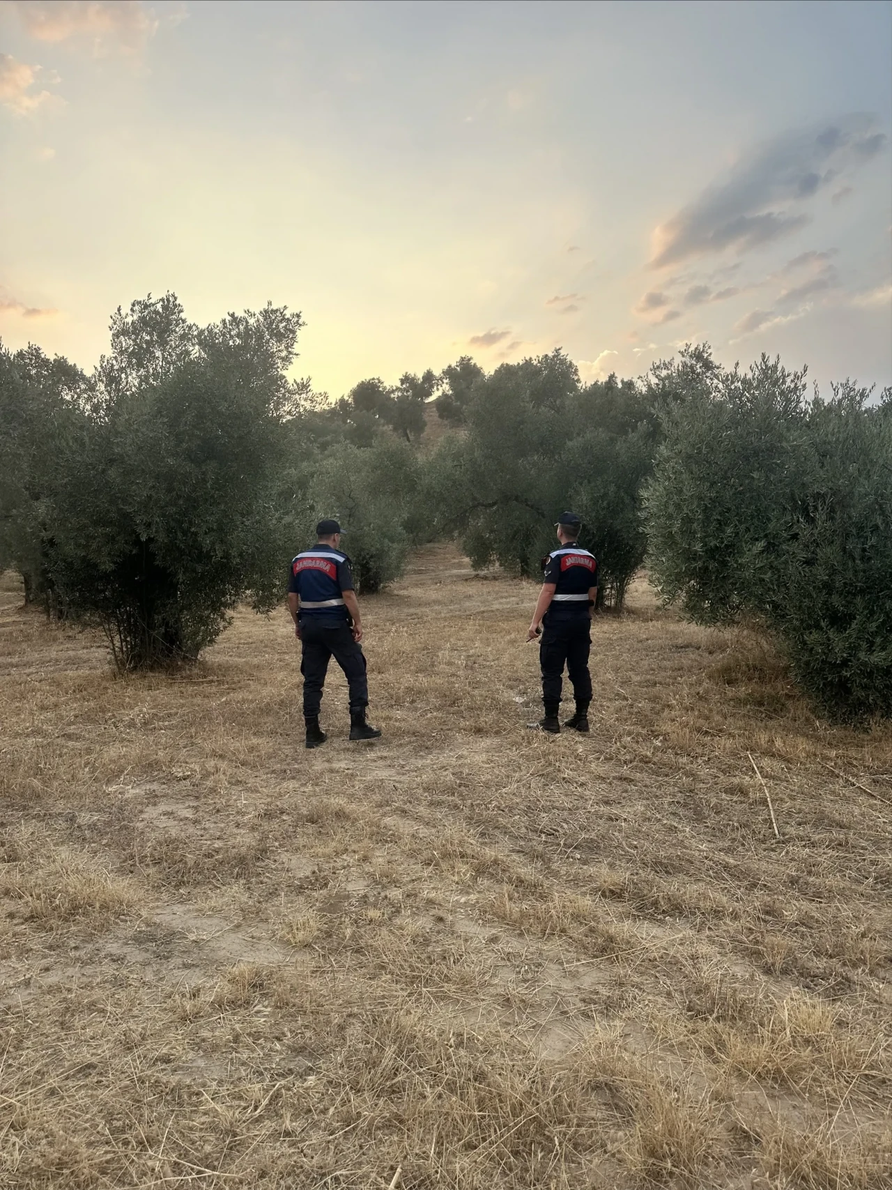 Aydın’da orman yangınlarına karşı jandarma denetimleri devam ediyor