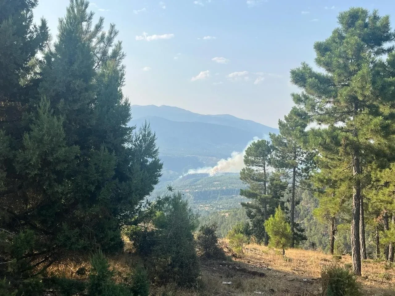 Denizli’de orman yangını hava ve karadan yapılan müdahaleyle kontrol altına alındı