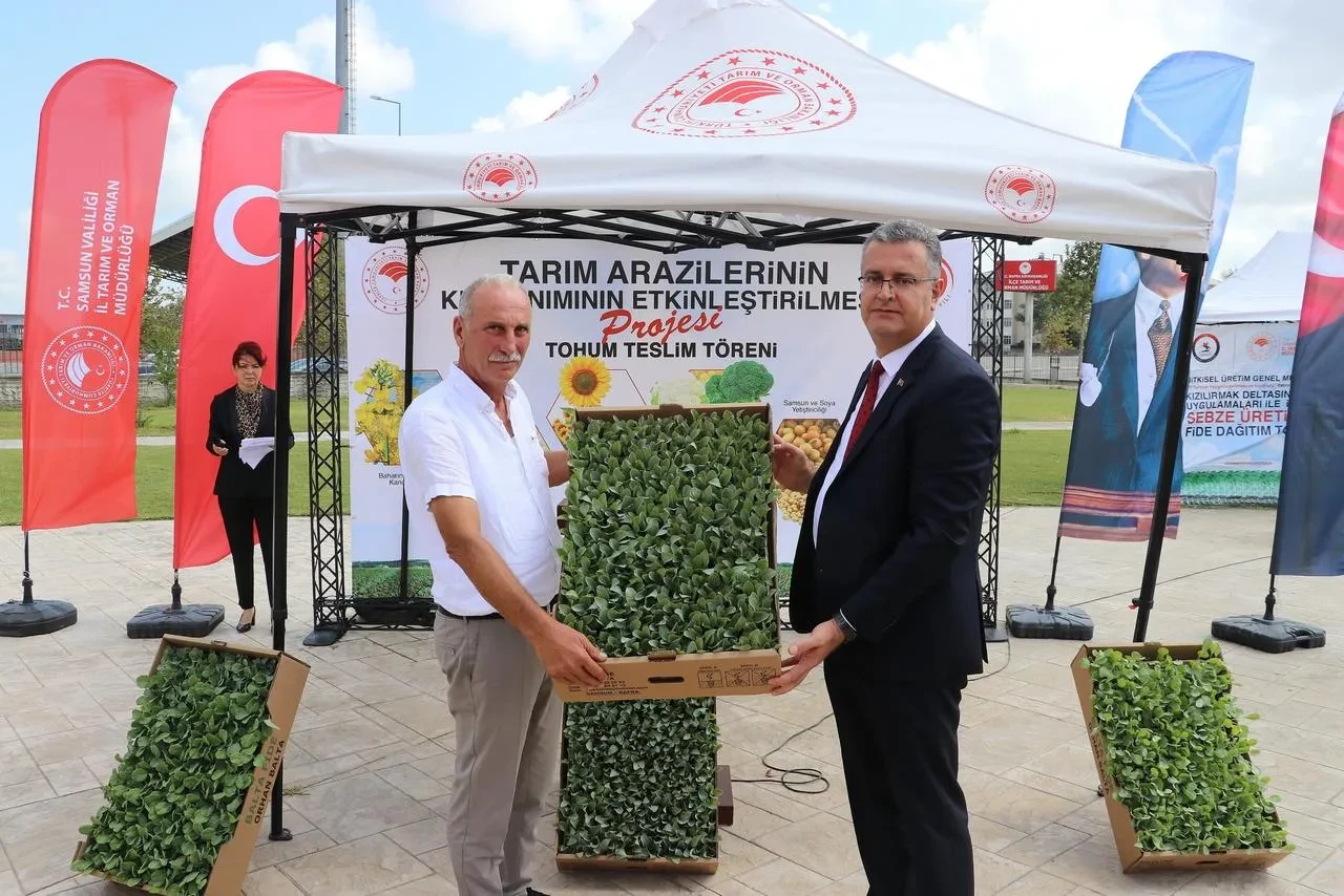 Samsun'da Bafra Ovası'nda ihracata uygun sebze üretimi için fide dağıtımı yapıldı