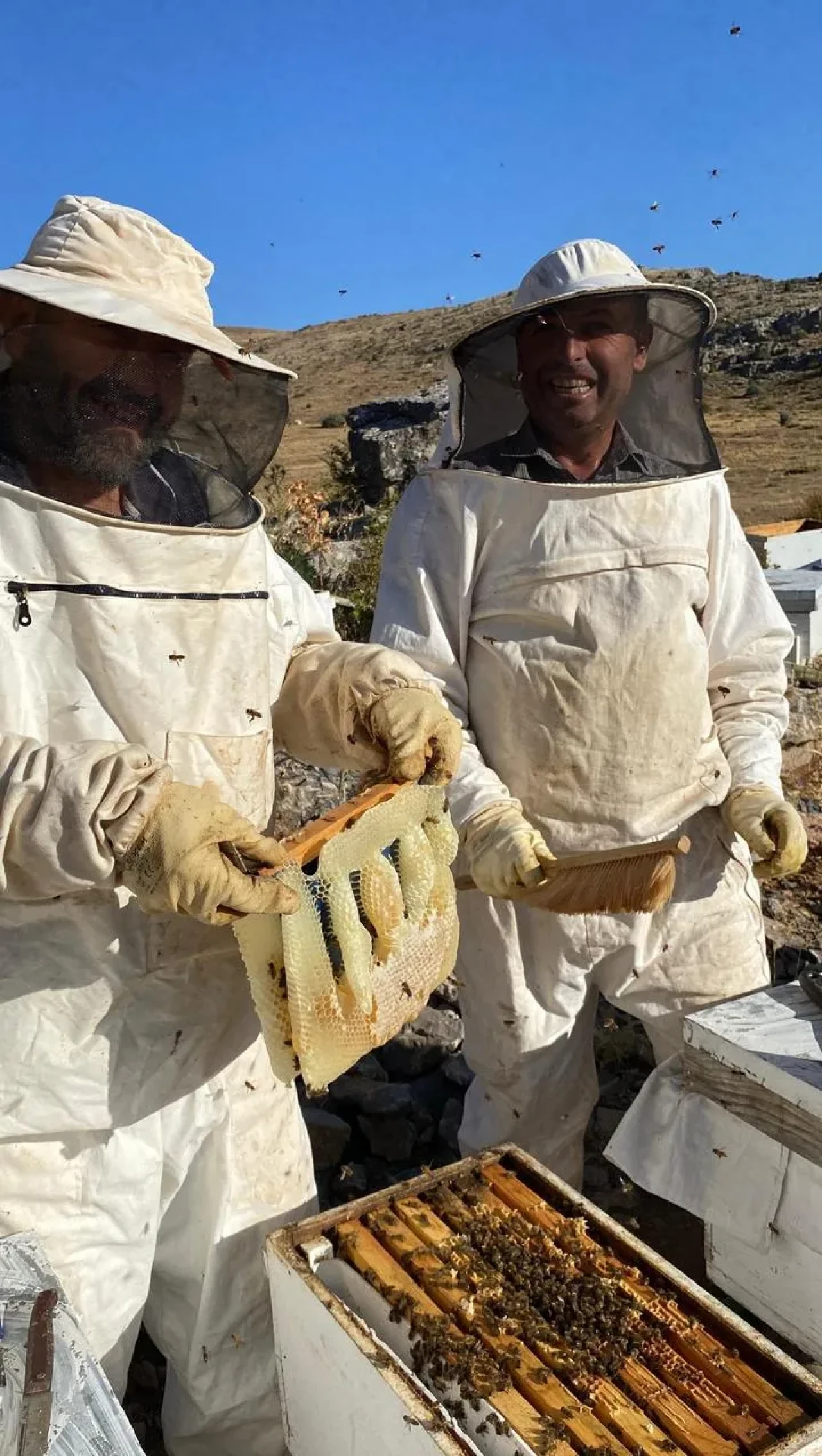 Bozkır’da Baybağan Yaylası’nda Bal Hasadı Bereketli Geçti