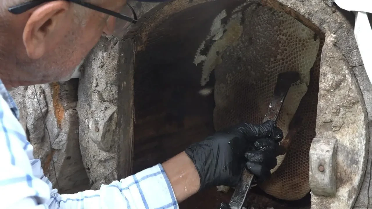 Rize'de karakovan balı Anzer Balı'nı geride bıraktı