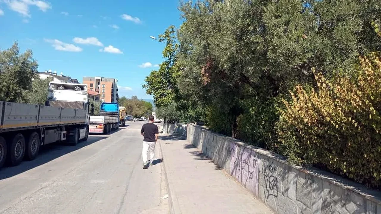Mudanya'da belediyeye ait zeytin ağaçları eczane sahipleri tarafından işgal edildi