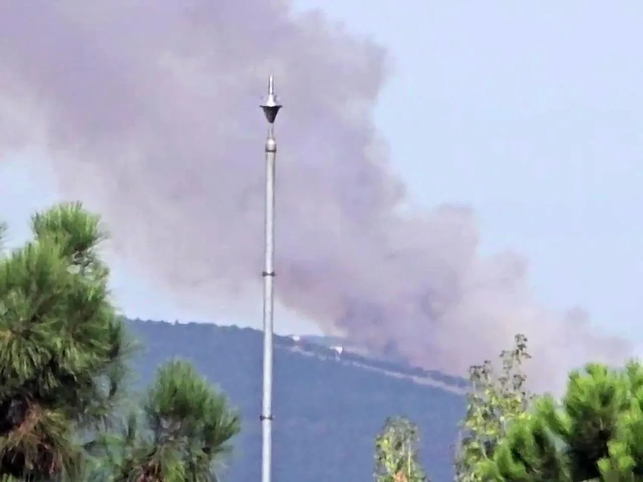 Kocaeli'nin İzmit ilçesinde ormanlık alanda yangın çıktı