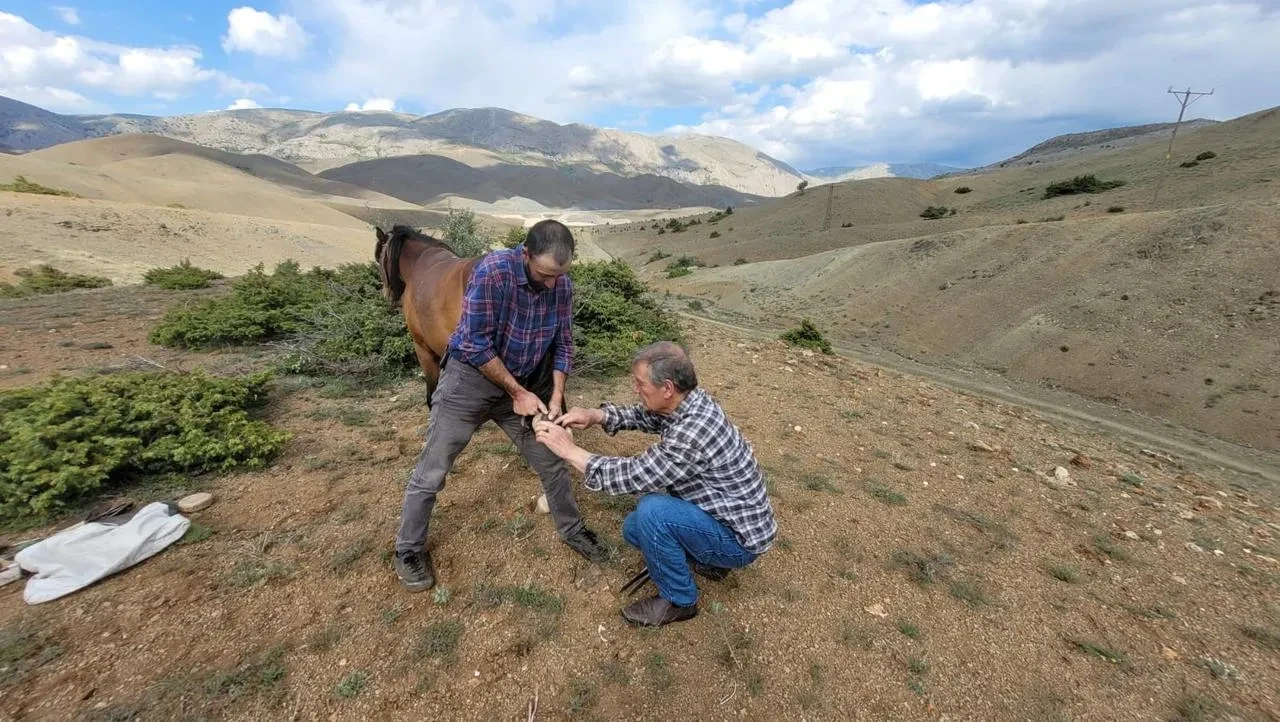 Kemaliye’nin son nalbant ustası Sinan Günay mesleğini sürdürüyor