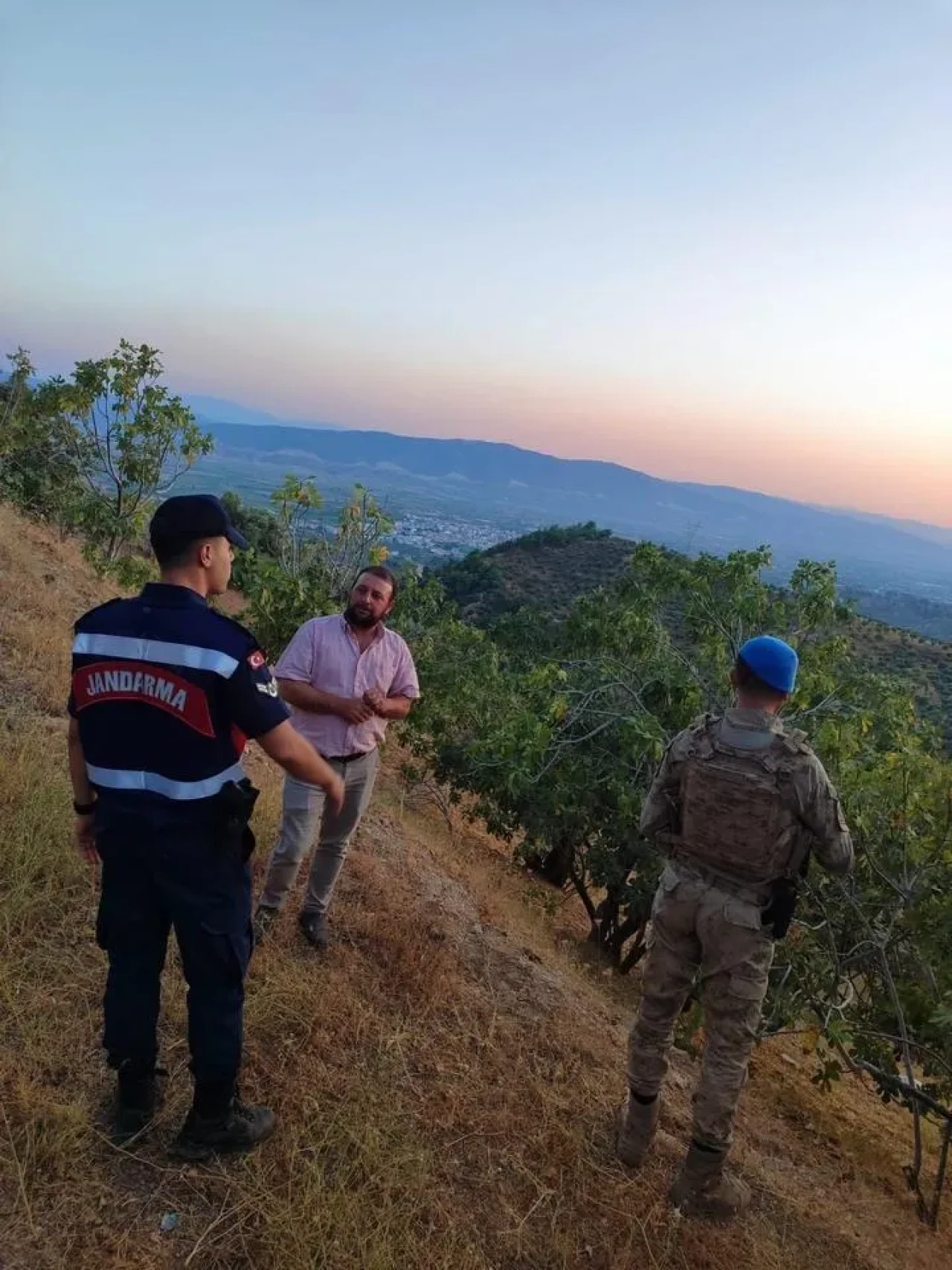 Aydın'ın Köşk ilçesinde jandarma incir hırsızlığına karşı önlem alıyor