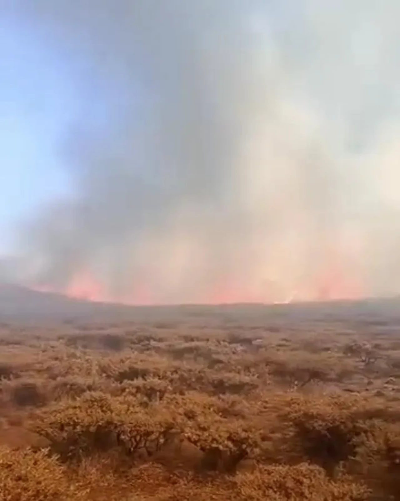 Şanlıurfa Siverek Karacadağ bölgesinde orman yangını devam ediyor