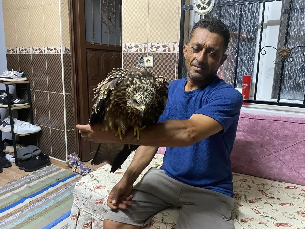 Osmaniye’de Ali Kötüğ bulduğu şahine ciğer dürüm söyledi