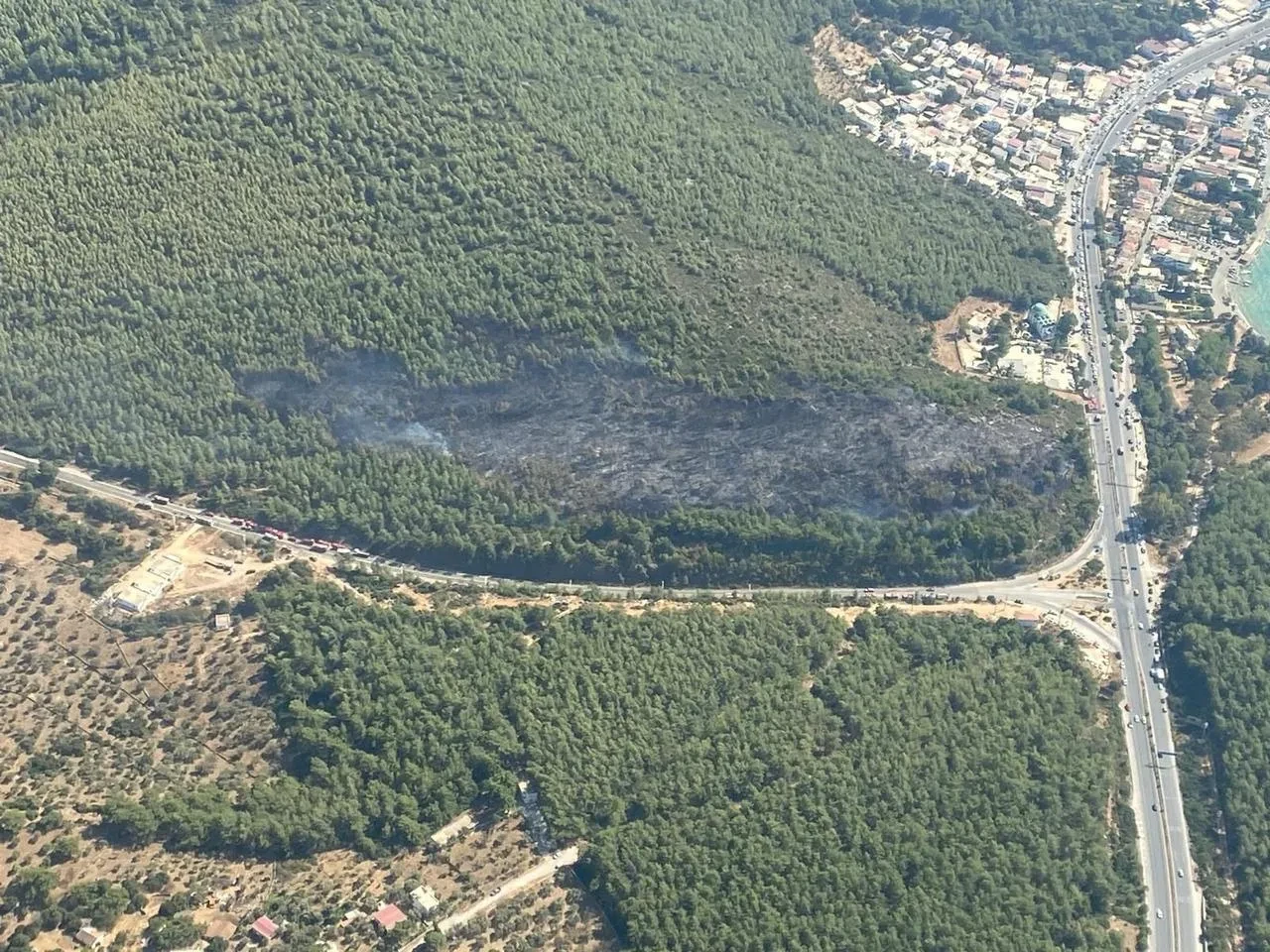 Bodrum'da çıkan orman yangını ekiplerin müdahalesiyle kontrol altına alındı