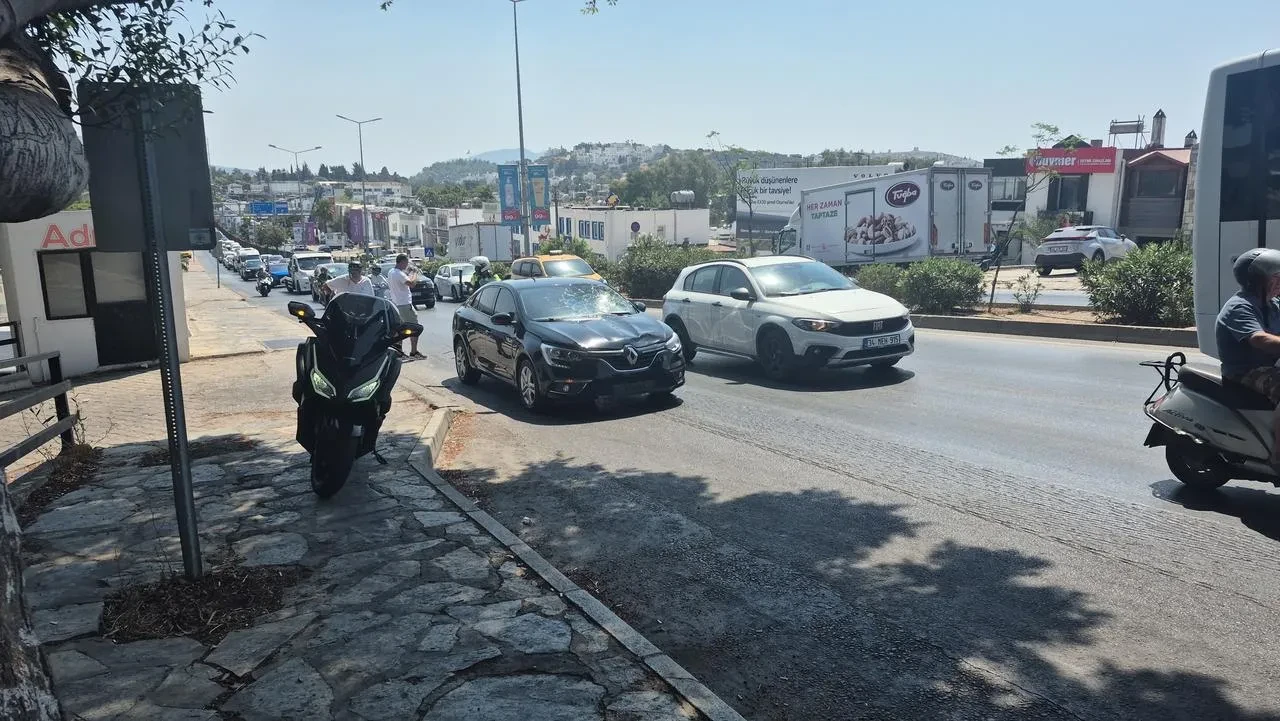 Bodrum'da otomobilin çarptığı Selim Erdoğan Çite kurtarılamadı