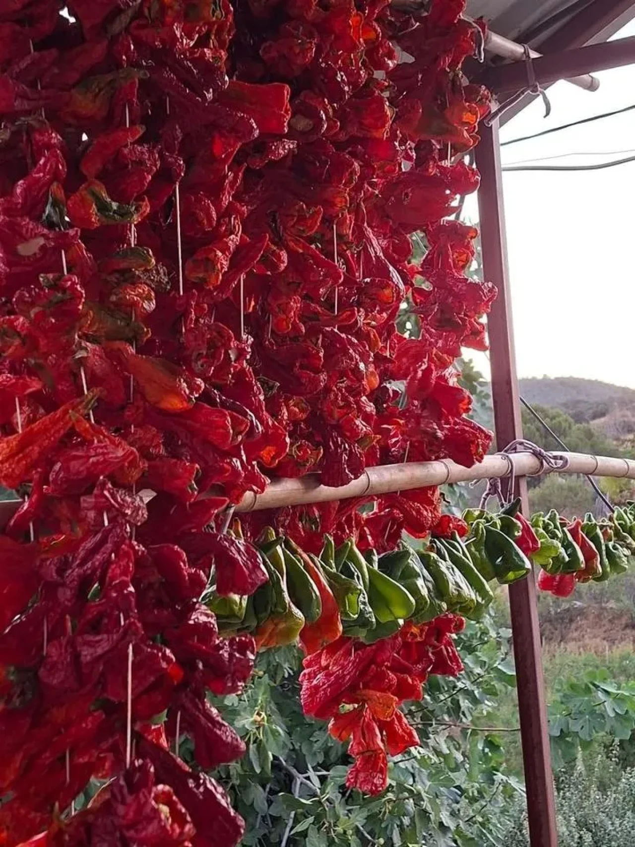 Manisa Sarıgöl'de kadınlar kışlık yiyecek hazırlıklarına başladı