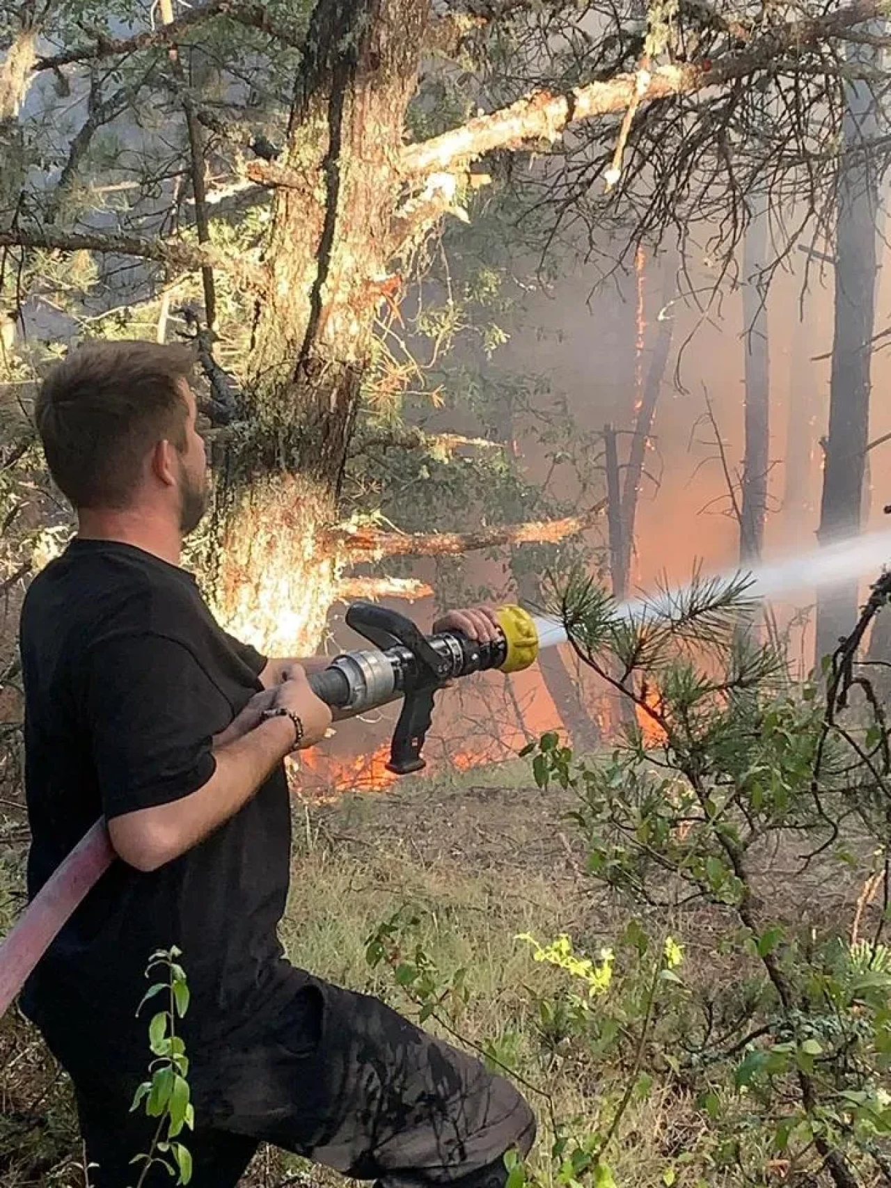 Karabük'ün Ovacık ilçesinde orman yangını rüzgarın etkisiyle yayıldı