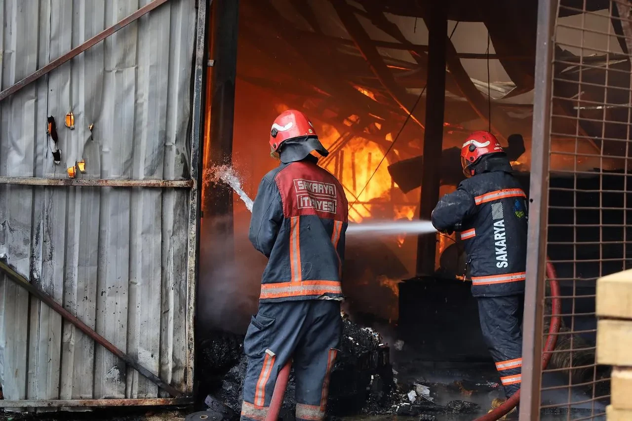 Sakarya'da yangın vakaları ihmal ve iklim değişikliği nedeniyle arttı