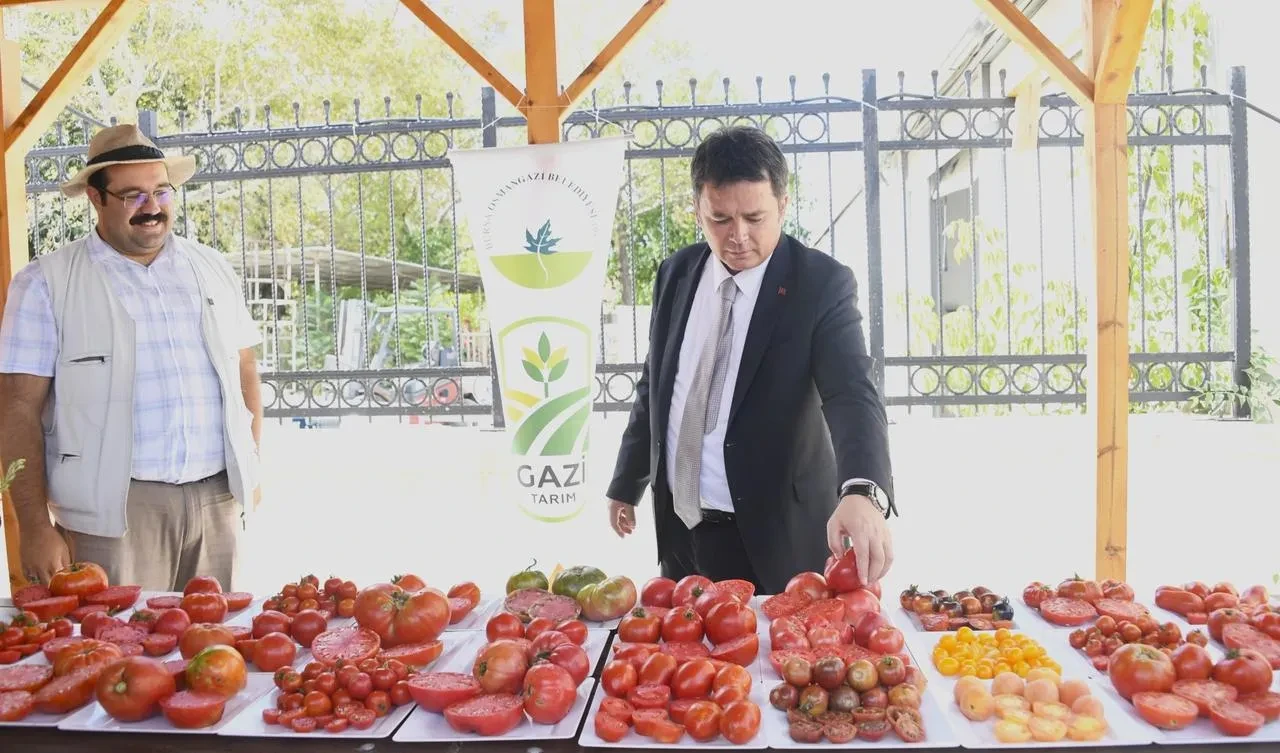 Osmangazi Belediyesi ata tohumlarını gelecek nesillere taşıyor