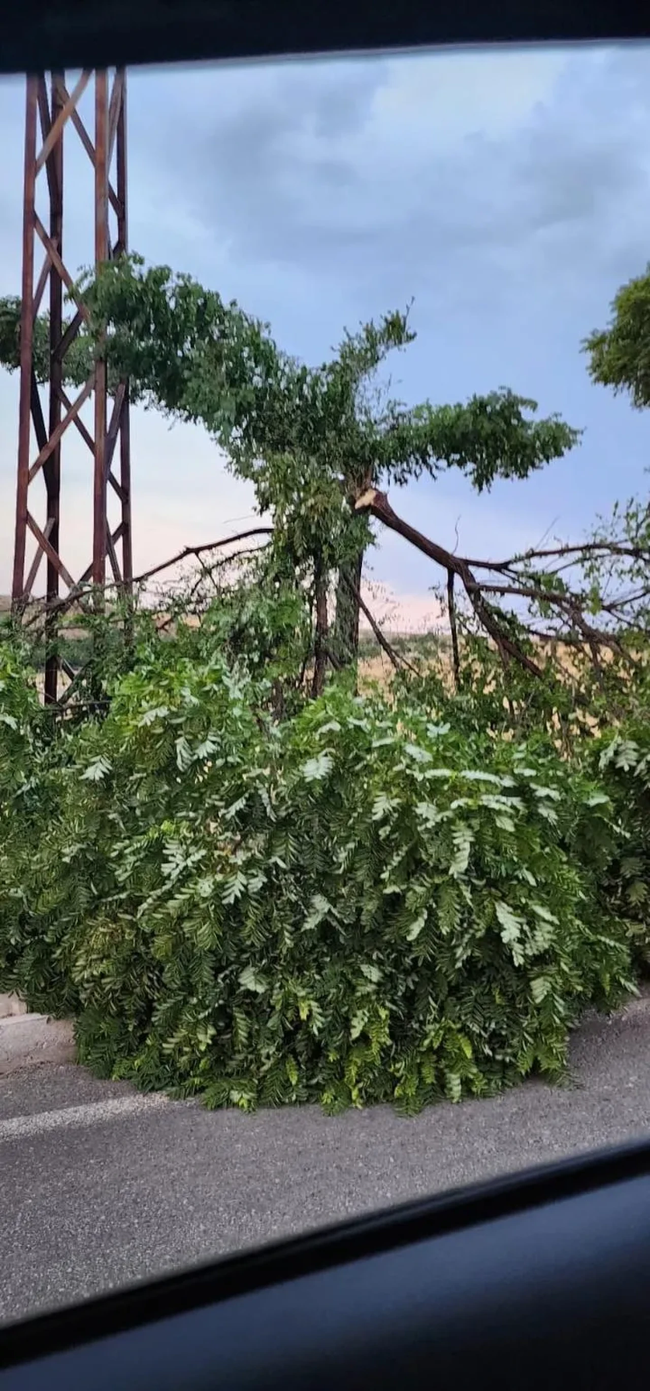 Kovancılar'da fırtına nedeniyle askeri araca ağaç dalı düştü