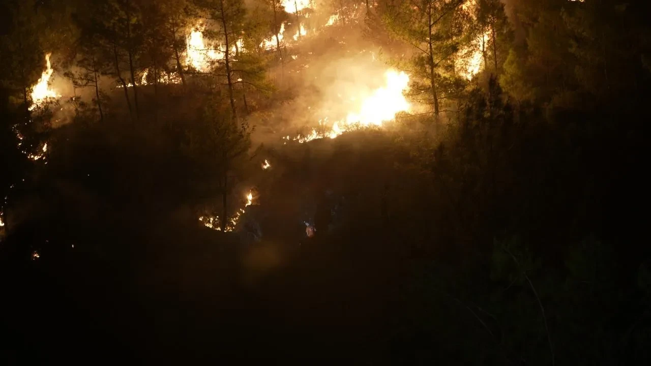 Muğla’da Köyceğiz ve Milas’ta orman yangınlarına karşı mücadele sürüyor