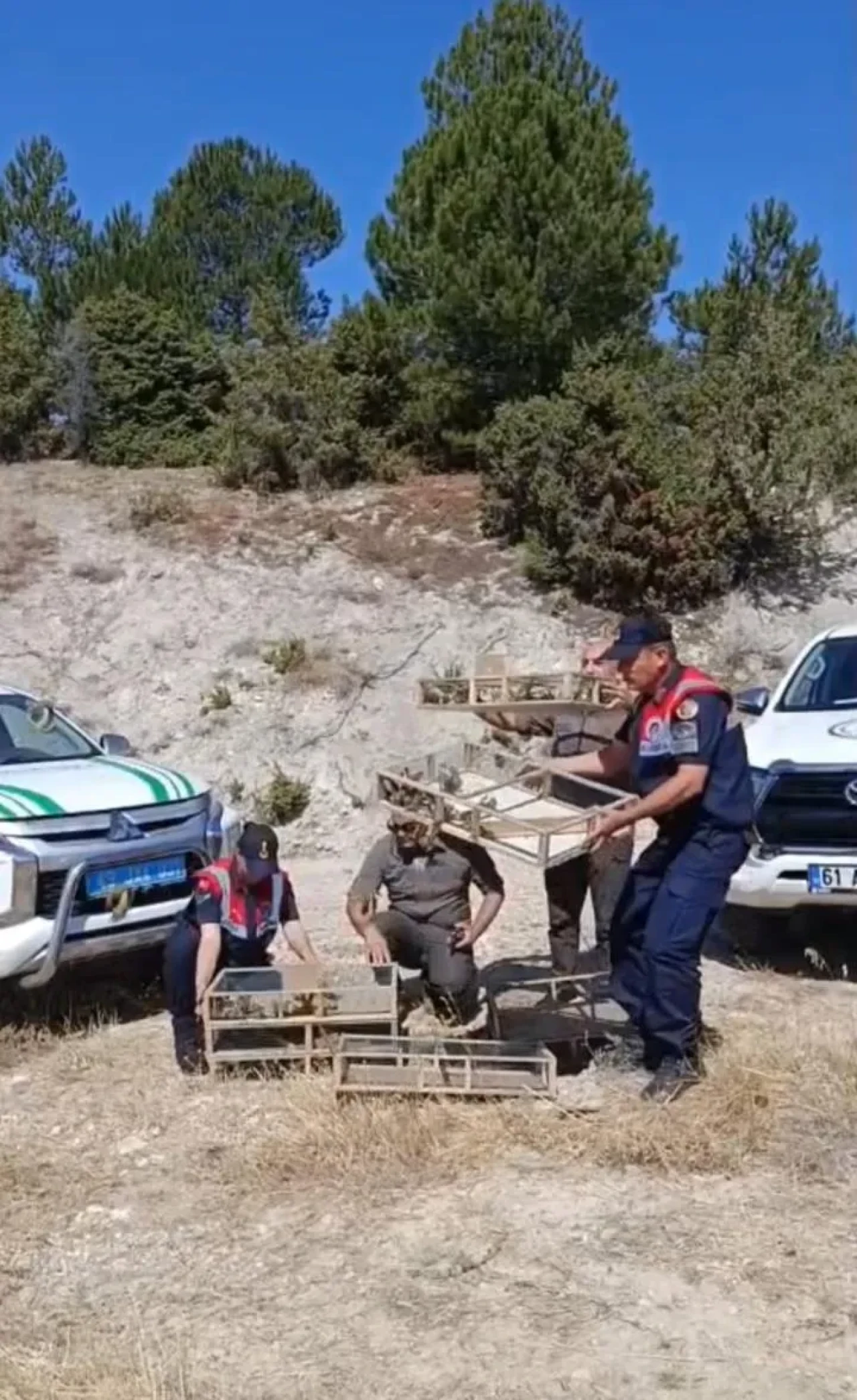 Kütahya'nın Gediz ilçesinde yakalanan 142 saka kuşu doğaya salındı