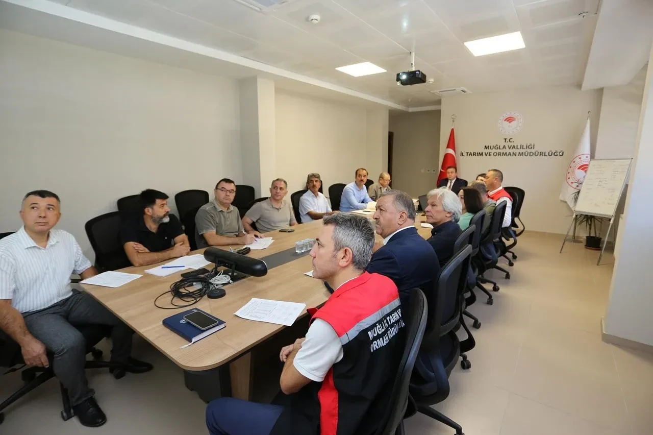 Muğla'da zeytin rekoltesi için sektör temsilcileri toplandı