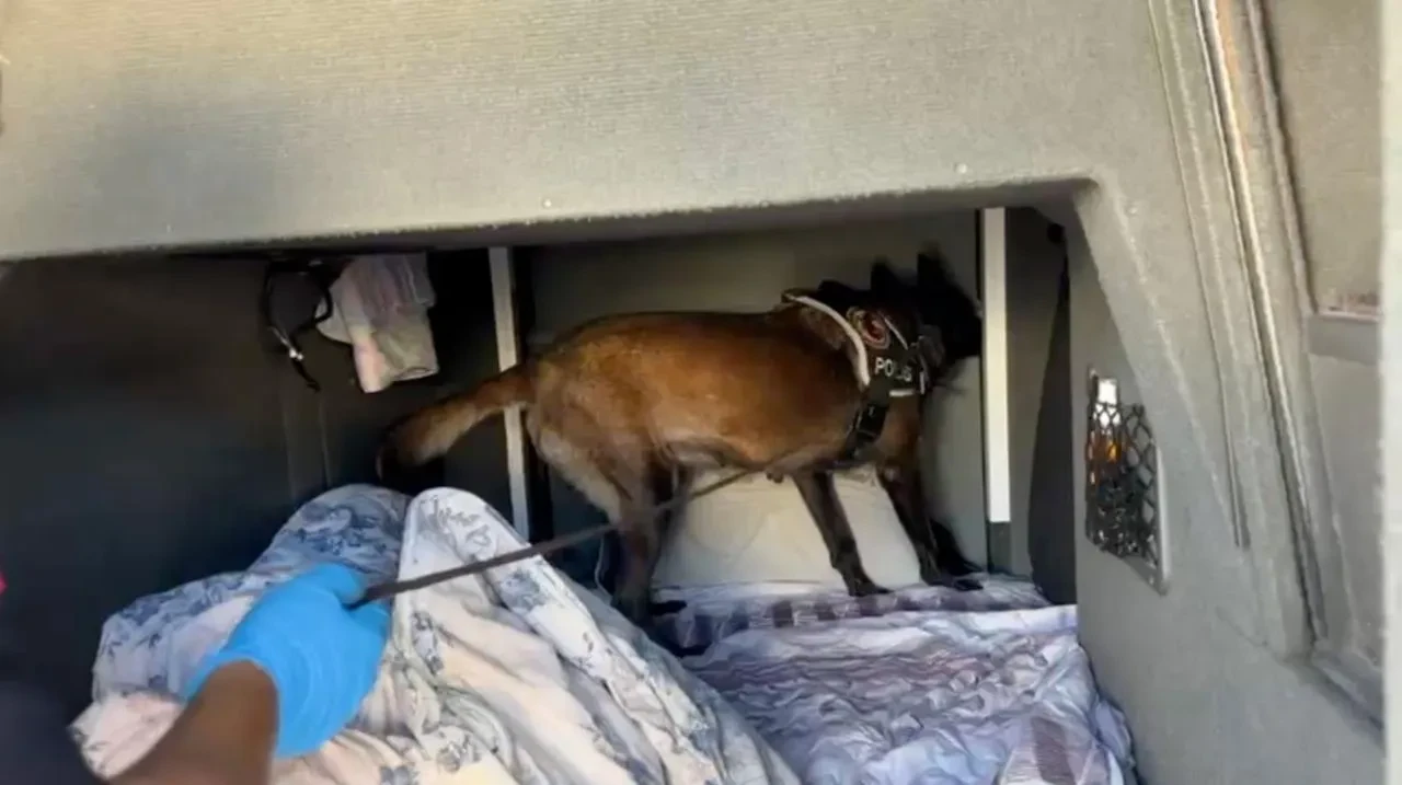 Kocaeli’de polis otobüste pul biber içine gizlenmiş eroin ele geçirdi.