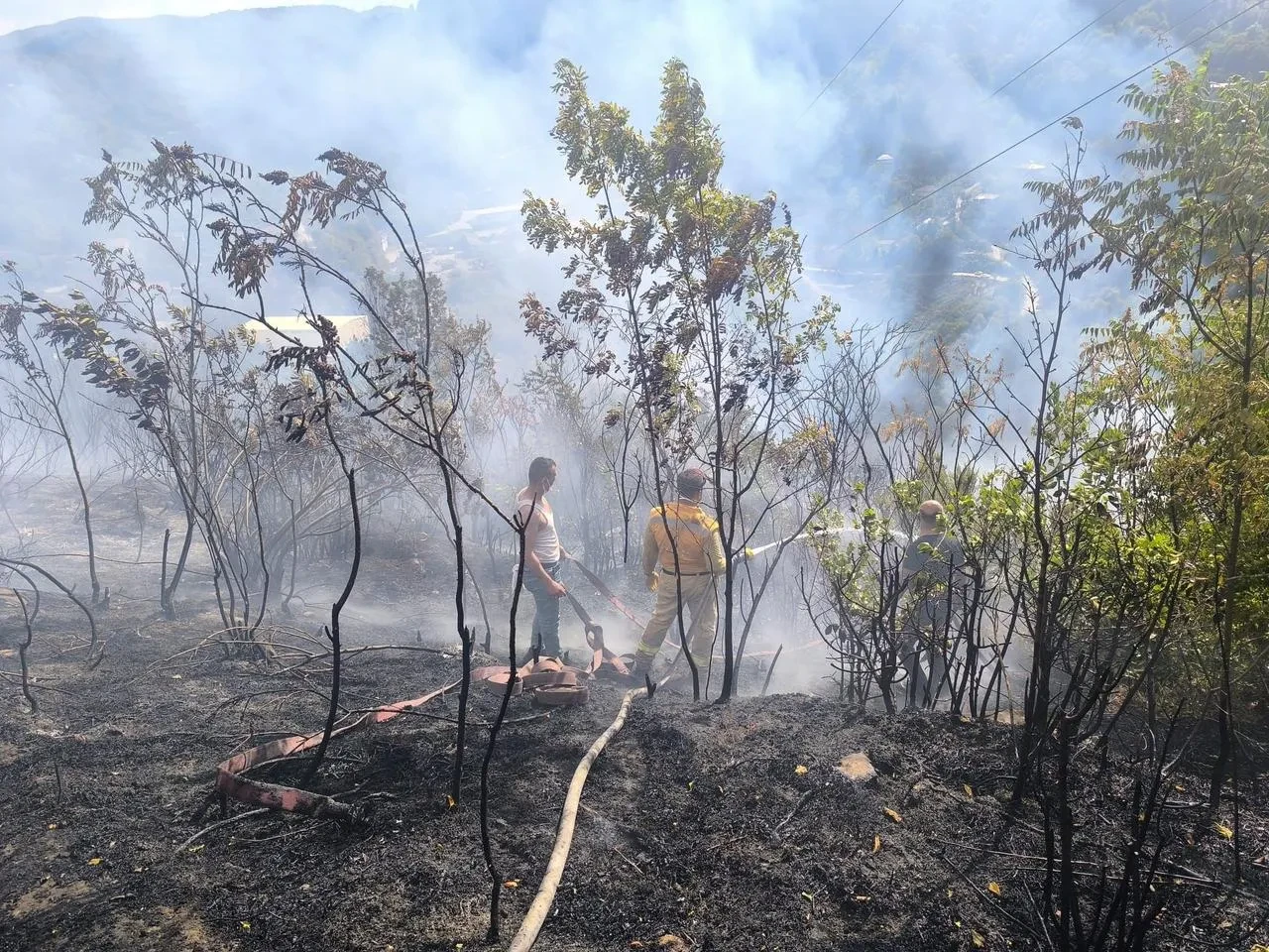 Zonguldak’ta Örtü Yangını Ekipler Tarafından Kontrol Altına Alındı