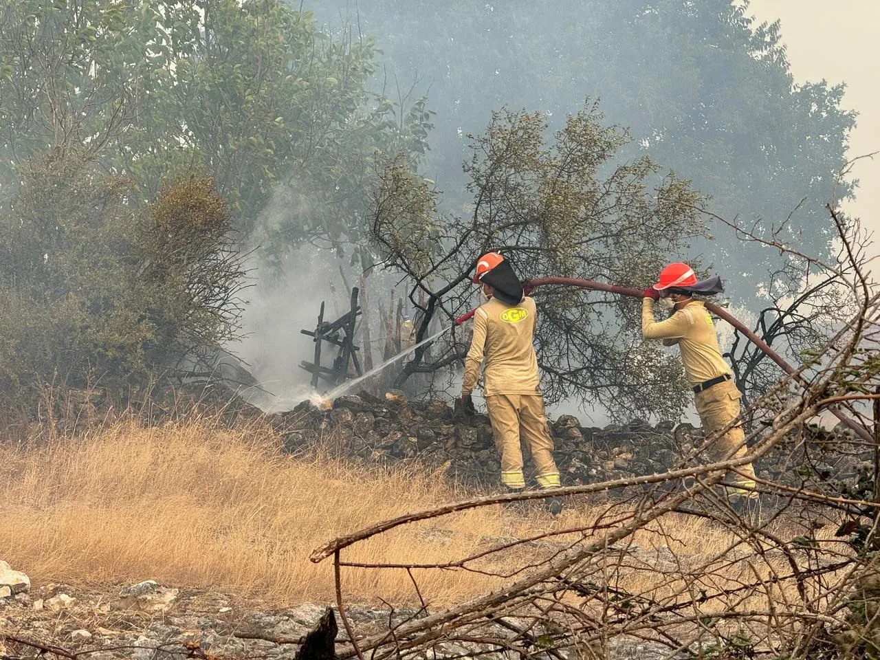 Kastamonu'nun Araç ilçesinde yangın köye sıçradı 3 ev yandı