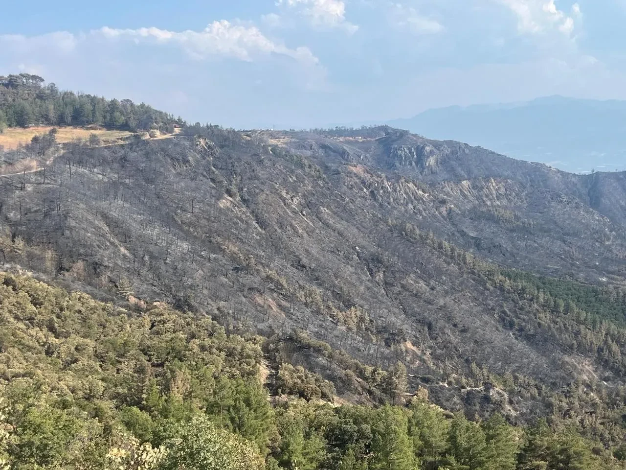 Buldan'da yangın bölgesinde ekipler gece gündüz nöbette