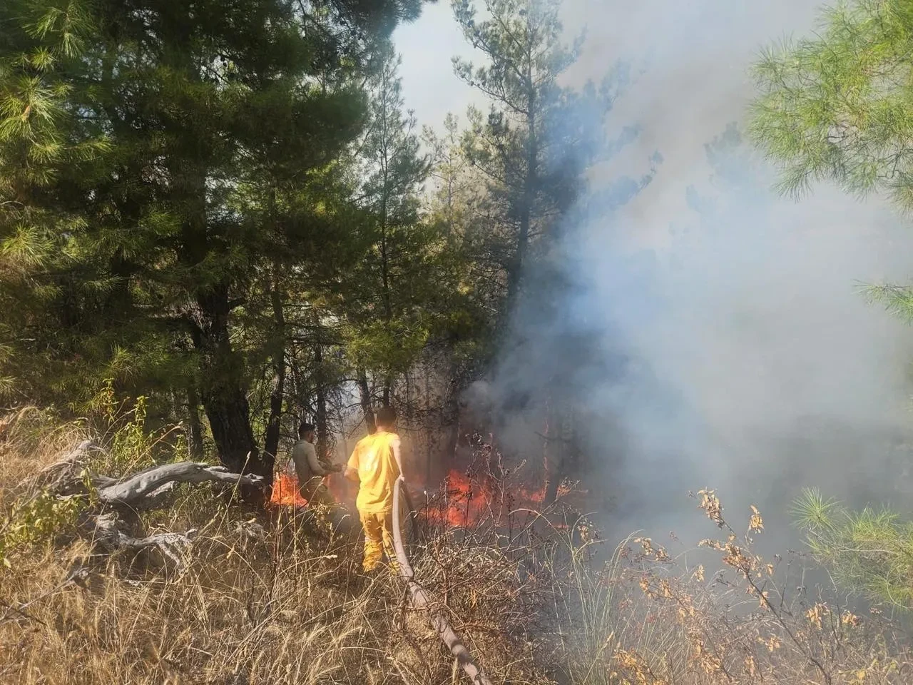 Buldan'daki orman yangınına havadan beş helikopterle müdahale başlatıldı