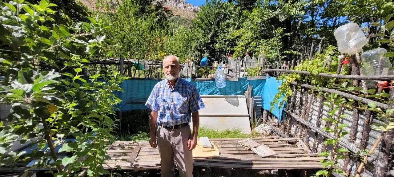 Erzincan kemaliye’de ayılar ev ve bahçelere zarar verdi