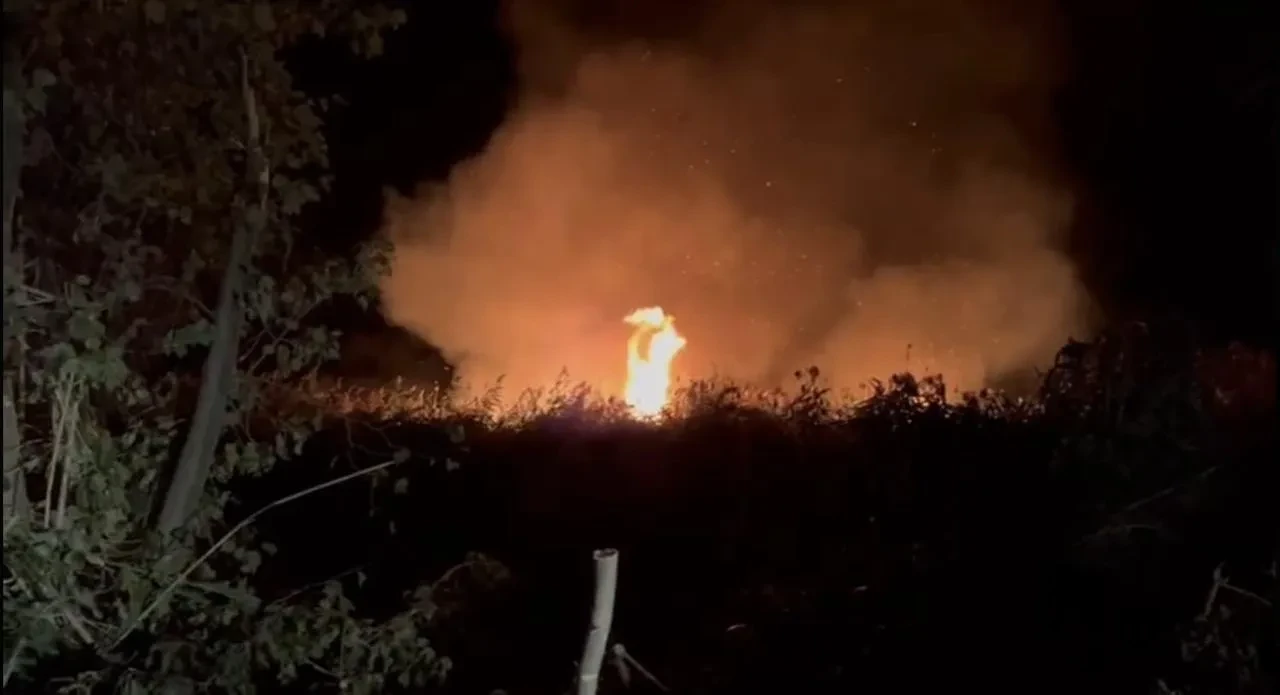 İznik’te Boyalıca Mahallesinde Sazlık Yangını Ekiplerle Söndürülüyor