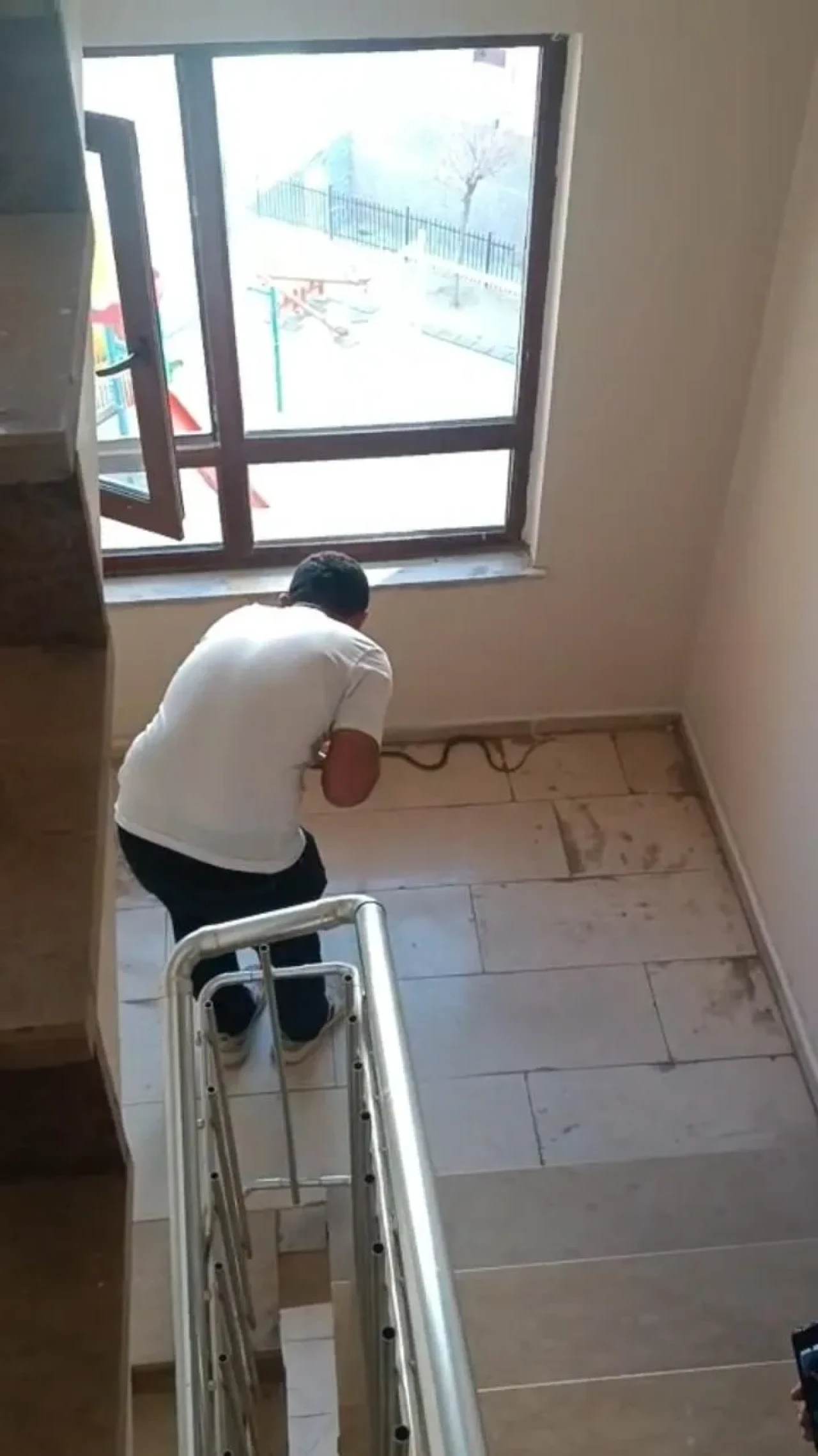 Şırnak'ta apartmanda görülen yılan sakinleri korkuttu