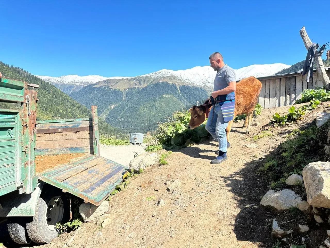 Rize’de yaylacılar erken kar yağışı nedeniyle kışlıklara indi