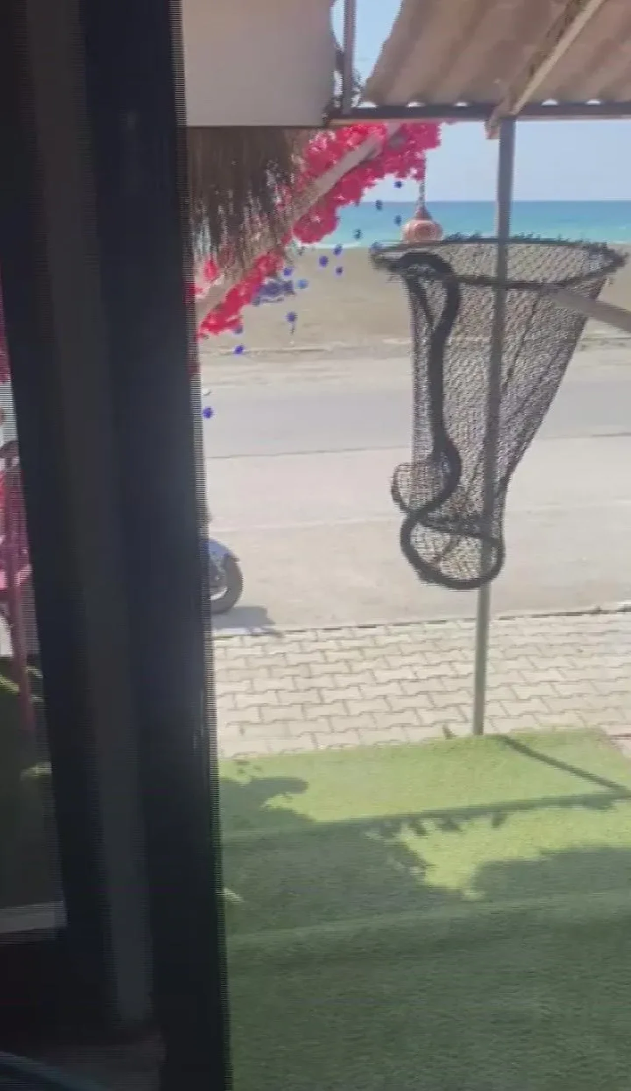 Hatay'ın Samandağ ilçesinde market dolabına giren yılan itfaiye tarafından yakalandı