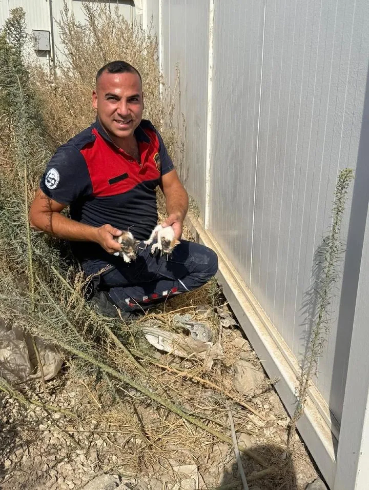 Hatay'da konteyner altında mahsur kalan yavru kedileri itfaiye kurtardı