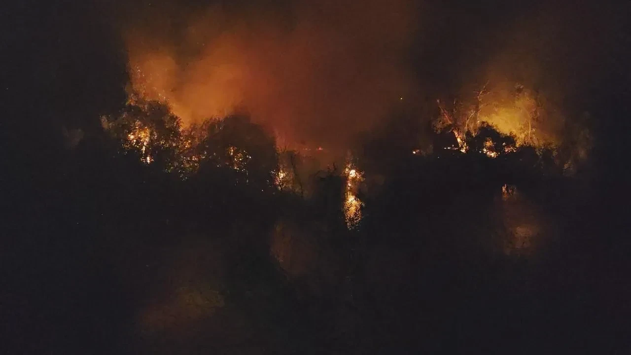 Manavgat’ta ırmak kenarında çıkan yangın itfaiye tarafından söndürüldü