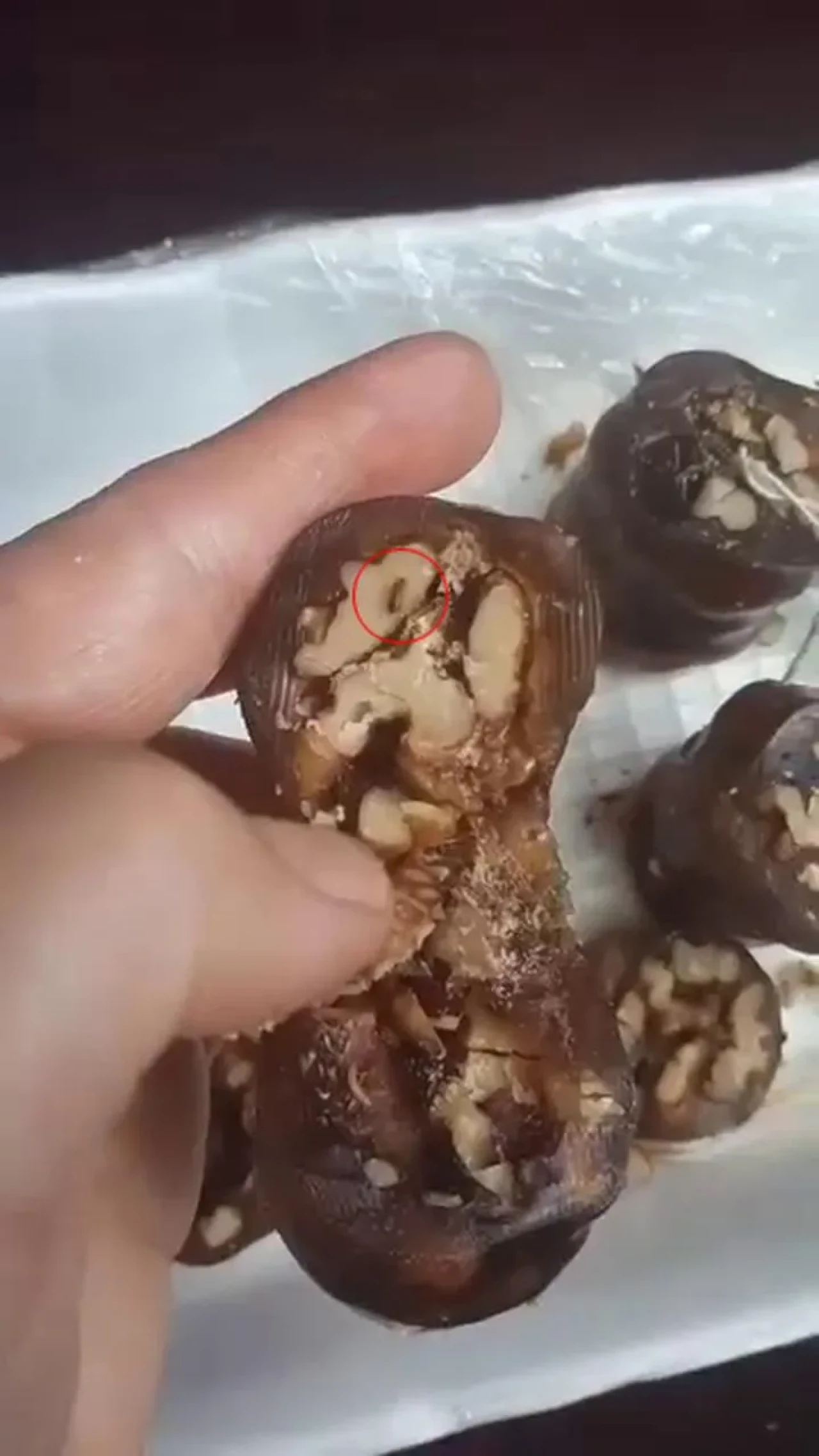 Elazığ'da orcik alan vatandaşın ürünün içinden böcek çıktı