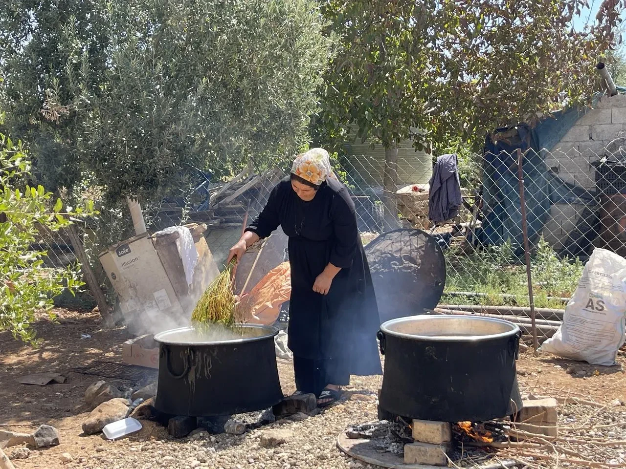Şanlıurfa'da üzüm hasadıyla pekmez üretimi başladı