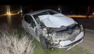 Ceylanpınar’da otomobil at arabasına çarptı: 2 yaralı