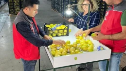 Ortaca’da ihracata giden ürünler Bitki Sağlık Sertifikası alarak onaylandı