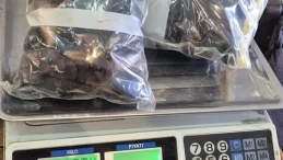 Aydın'ın Söke ilçesinde gıda denetimi yapılan işyerinden numuneler alındı