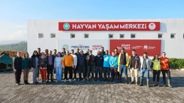 Manisa'da Yunusemre Hayvan Yaşam Merkezi 1770 sahipsiz köpeğe yuva oldu