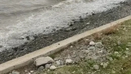 Yalova'da kontrolden çıkan pikap denize uçtu, 1 kişi hafif yaralandı