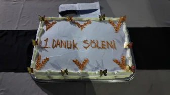 Siirt'te Koruma Altındaki Çocuklar Için Danuk Şöleni Düzenlendi