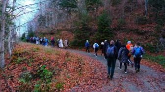 Sakarya'da sonbaharın renkleri arasında 14 kilometrelik doğa yürüyüşü yapıldı