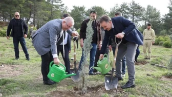 Edremit'te ertelenen fidan dikim etkinliği bugün gerçekleştirildi