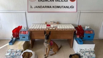 Erzincan'da jandarma kasım ayında 124 olayın yüzde 93'ünü aydınlattı