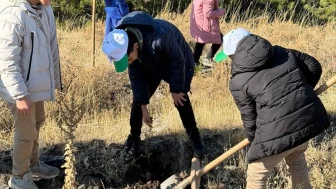 Elazığ'ın Sivrice ilçesinde "Yeşil Vatan" temalı fidan dikme etkinliği düzenlendi