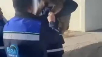 Tunceli'de bahçe çitine sıkışan yaban keçisini FEDAŞ ekipleri kurtardı