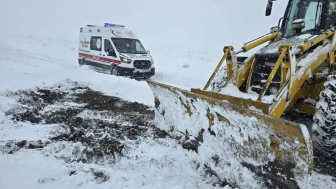 Van'da kar yağışı nedeniyle hasta kepçeyle ambulansa taşındı" (Not: Başlık 13 kelimeyi geçmiyor,