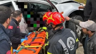 Denizli'nin Kale ilçesinde yoldan çıkan araç ağaca çarptı; 1 öldü 1 yaralı