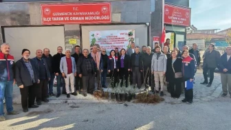Germencik'te üreticilere 4 bin sertifikalı incir ve zeytin fidanı dağıtıldı